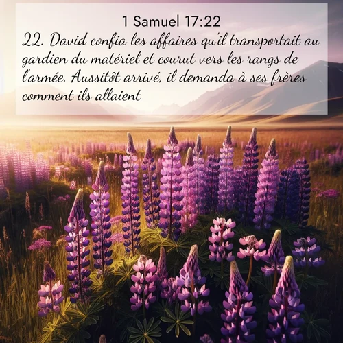 Segond21 1 Samuel  ; image nature: image avec le verset biblique :David confia les affaires qu&#039;il transportait au gardien du matériel et courut vers les rangs de l&#039;armée. Aussitôt arrivé, il demanda à ses frères comment ils allaient. ;  ; 17:22