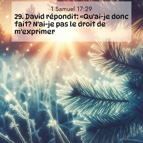 Segond21 1 Samuel  ; image nature: image avec le verset biblique :David répondit: «Qu&#039;ai-je donc fait? N&#039;ai-je pas le droit de m&#039;exprimer?» ;  ; 17:29