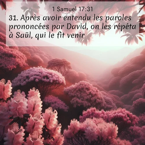 Segond21 1 Samuel  ; image nature: image avec le verset biblique :Après avoir entendu les paroles prononcées par David, on les répéta à Saül, qui le fit venir. ;  ; 17:31