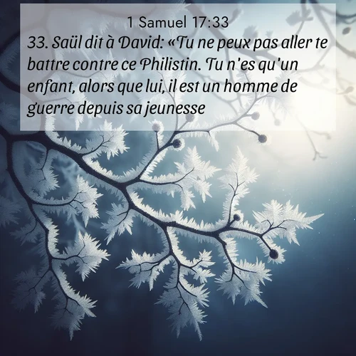 Segond21 1 Samuel  ; image nature: image avec le verset biblique :Saül dit à David: «Tu ne peux pas aller te battre contre ce Philistin. Tu n&#039;es qu&#039;un enfant, alors que lui, il est un homme de guerre depuis sa jeunesse.» ;  ; 17:33