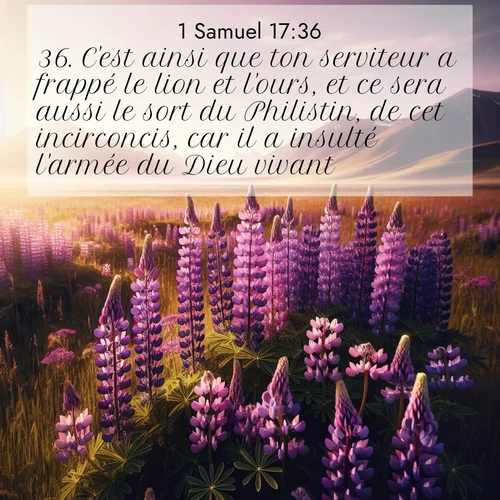 Segond21 1 Samuel  ; image nature: image avec le verset biblique :C&#039;est ainsi que ton serviteur a frappé le lion et l&#039;ours, et ce sera aussi le sort du Philistin, de cet incirconcis, car il a insulté l&#039;armée du Dieu vivant.» ;  ; 17:36