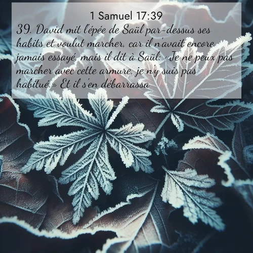 Segond21 1 Samuel  ; image nature: image avec le verset biblique :David mit l&#039;épée de Saül par-dessus ses habits et voulut marcher, car il n&#039;avait encore jamais essayé, mais il dit à Saül: «Je ne peux pas marcher avec cette armure, je n&#039;y suis pas habitué.» Et il s&#039;en débarrassa. ;  ; 17:39
