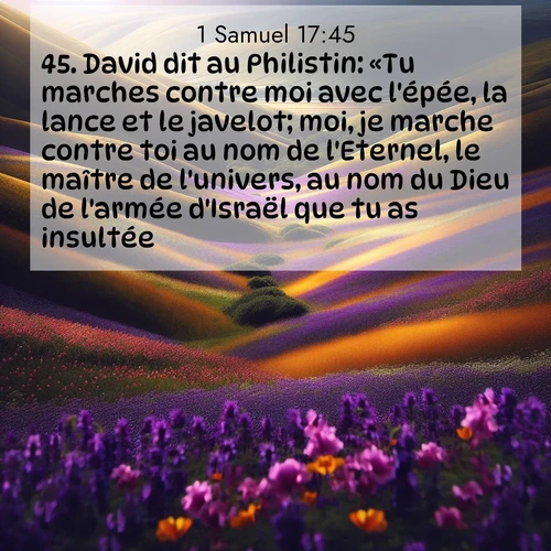 Segond21 1 Samuel  ; image nature: image avec le verset biblique :David dit au Philistin: «Tu marches contre moi avec l&#039;épée, la lance et le javelot; moi, je marche contre toi au nom de l&#039;Eternel, le maître de l&#039;univers, au nom du Dieu de l&#039;armée d&#039;Israël que tu as insultée. ;  ; 17:45