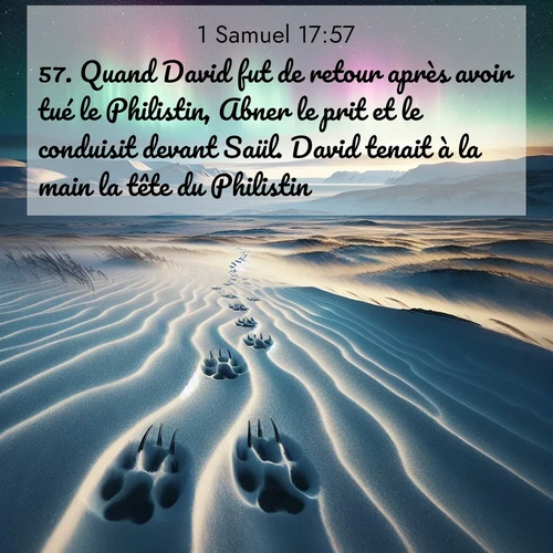 Segond21 1 Samuel  ; image nature: image avec le verset biblique :Quand David fut de retour après avoir tué le Philistin, Abner le prit et le conduisit devant Saül. David tenait à la main la tête du Philistin. ;  ; 17:57