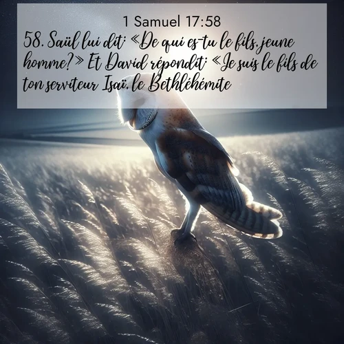 Segond21 1 Samuel  ; image nature: image avec le verset biblique :Saül lui dit: «De qui es-tu le fils, jeune homme?» Et David répondit: «Je suis le fils de ton serviteur Isaï, le Bethléhémite.» ;  ; 17:58