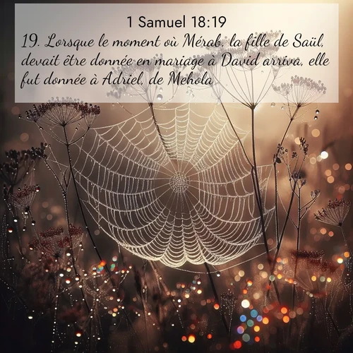 Segond21 1 Samuel  ; image nature: image avec le verset biblique :Lorsque le moment où Mérab, la fille de Saül, devait être donnée en mariage à David arriva, elle fut donnée à Adriel, de Mehola. ;  ; 18:19