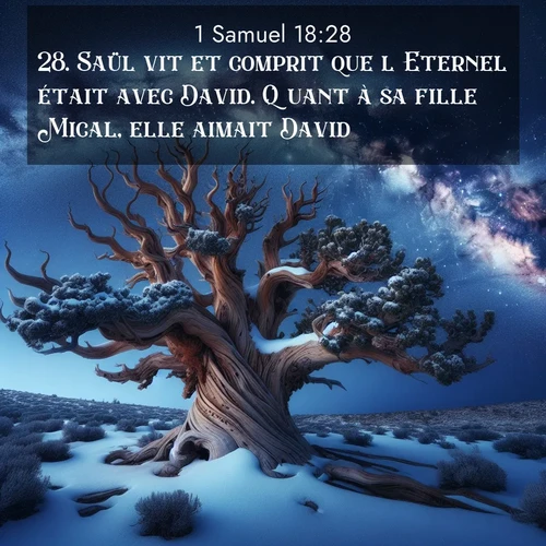 Segond21 1 Samuel  ; image nature: image avec le verset biblique :Saül vit et comprit que l&#039;Eternel était avec David. Quant à sa fille Mical, elle aimait David. ;  ; 18:28