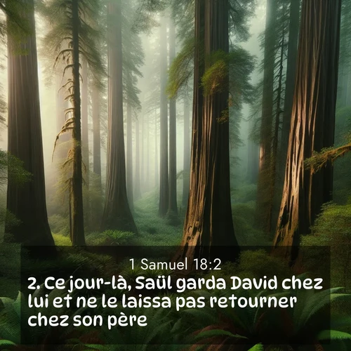 Segond21 1 Samuel  ; image nature: image avec le verset biblique :Ce jour-là, Saül garda David chez lui et ne le laissa pas retourner chez son père. ;  ; 18:2