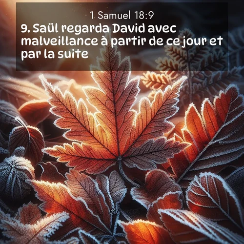 Segond21 1 Samuel  ; image nature: image avec le verset biblique :Saül regarda David avec malveillance à partir de ce jour et par la suite. ;  ; 18:9