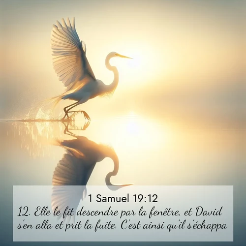 Segond21 1 Samuel  ; image nature: image avec le verset biblique :Elle le fit descendre par la fenêtre, et David s&#039;en alla et prit la fuite. C&#039;est ainsi qu&#039;il s&#039;échappa. ;  ; 19:12