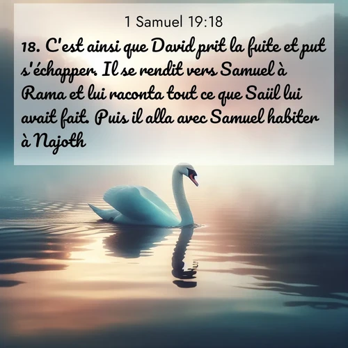 Segond21 1 Samuel  ; image nature: image avec le verset biblique :C&#039;est ainsi que David prit la fuite et put s&#039;échapper. Il se rendit vers Samuel à Rama et lui raconta tout ce que Saül lui avait fait. Puis il alla avec Samuel habiter à Najoth. ;  ; 19:18