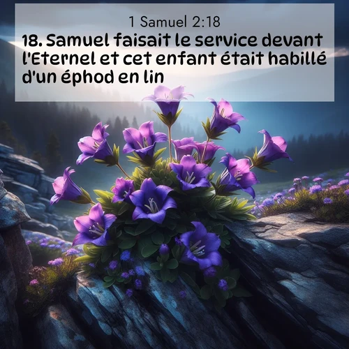 Segond21 1 Samuel  ; image nature: image avec le verset biblique :Samuel faisait le service devant l&#039;Eternel et cet enfant était habillé d&#039;un éphod en lin. ;  ; 2:18