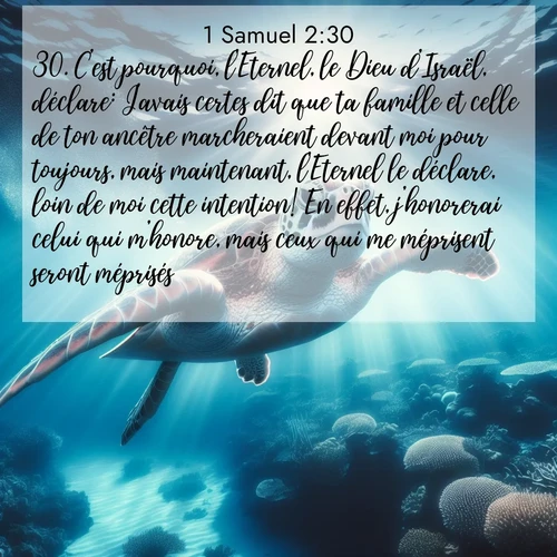 Segond21 1 Samuel  ; image nature: image avec le verset biblique :C&#039;est pourquoi, l&#039;Eternel, le Dieu d&#039;Israël, déclare: J&#039;avais certes dit que ta famille et celle de ton ancêtre marcheraient devant moi pour toujours, mais maintenant, l&#039;Eternel le déclare, loin de moi cette intention! En effet, j&#039;honorerai celui qui m&#039;honore, mais ceux qui me méprisent seront méprisés. ;  ; 2:30