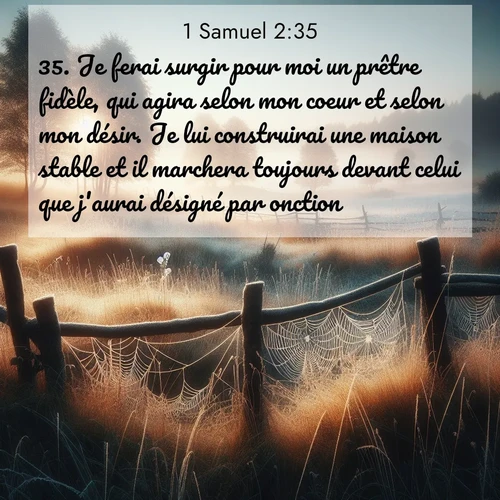 Segond21 1 Samuel  ; image nature: image avec le verset biblique :Je ferai surgir pour moi un prêtre fidèle, qui agira selon mon coeur et selon mon désir. Je lui construirai une maison stable et il marchera toujours devant celui que j&#039;aurai désigné par onction. ;  ; 2:35