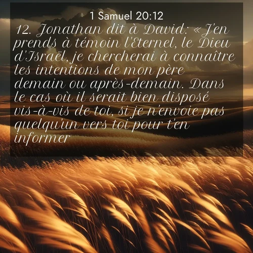 Segond21 1 Samuel  ; image nature: image avec le verset biblique :Jonathan dit à David: «J&#039;en prends à témoin l&#039;Eternel, le Dieu d&#039;Israël, je chercherai à connaître les intentions de mon père demain ou après-demain. Dans le cas où il serait bien disposé vis-à-vis de toi, si je n&#039;envoie pas quelqu&#039;un vers toi pour t&#039;en informer, ;  ; 20:12