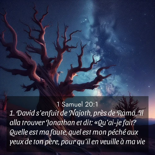 Segond21 1 Samuel  ; image nature: image avec le verset biblique :David s&#039;enfuit de Najoth, près de Rama. Il alla trouver Jonathan et dit: «Qu&#039;ai-je fait? Quelle est ma faute, quel est mon péché aux yeux de ton père, pour qu&#039;il en veuille à ma vie?» ;  ; 20:1