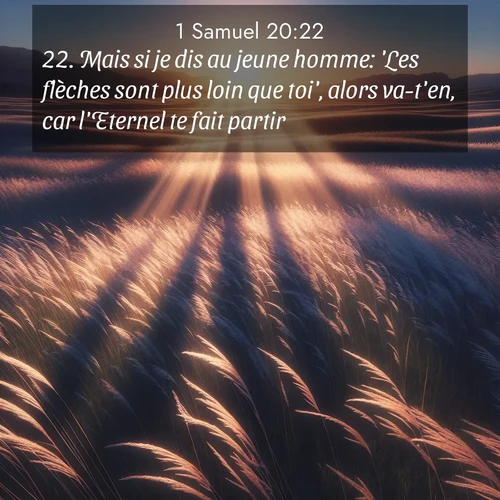 Segond21 1 Samuel  ; image nature: image avec le verset biblique :Mais si je dis au jeune homme: &#039;Les flèches sont plus loin que toi&#039;, alors va-t&#039;en, car l&#039;Eternel te fait partir. ;  ; 20:22