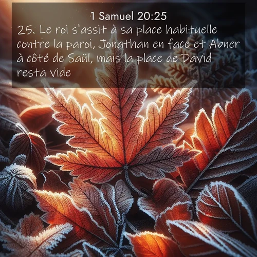 Segond21 1 Samuel  ; image nature: image avec le verset biblique :Le roi s&#039;assit à sa place habituelle contre la paroi, Jonathan en face et Abner à côté de Saül, mais la place de David resta vide. ;  ; 20:25