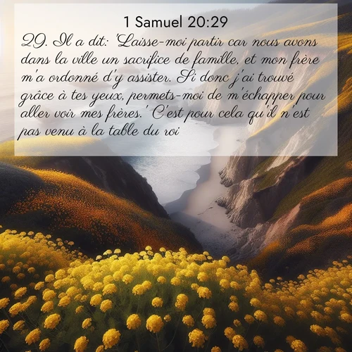 Segond21 1 Samuel  ; image nature: image avec le verset biblique :Il a dit: &#039;Laisse-moi partir car nous avons dans la ville un sacrifice de famille, et mon frère m&#039;a ordonné d&#039;y assister. Si donc j&#039;ai trouvé grâce à tes yeux, permets-moi de m&#039;échapper pour aller voir mes frères.&#039; C&#039;est pour cela qu&#039;il n&#039;est pas venu à la table du roi.» ;  ; 20:29