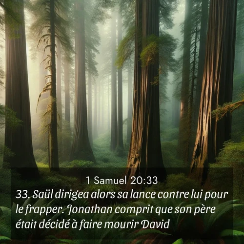 Segond21 1 Samuel  ; image nature: image avec le verset biblique :Saül dirigea alors sa lance contre lui pour le frapper. Jonathan comprit que son père était décidé à faire mourir David. ;  ; 20:33
