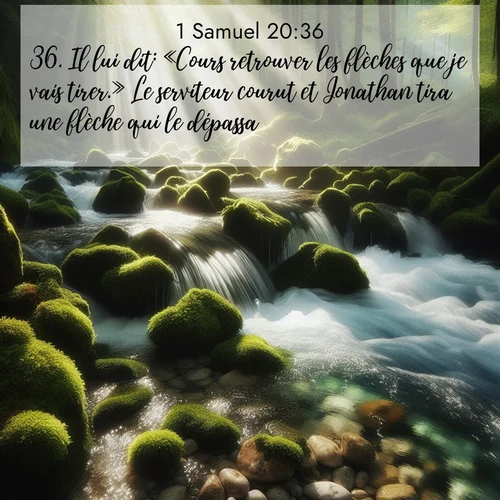 Segond21 1 Samuel  ; image nature: image avec le verset biblique :Il lui dit: «Cours retrouver les flèches que je vais tirer.» Le serviteur courut et Jonathan tira une flèche qui le dépassa. ;  ; 20:36