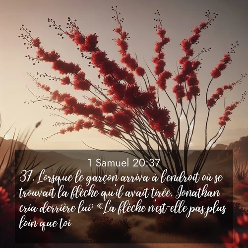 Segond21 1 Samuel  ; image nature: image avec le verset biblique :Lorsque le garçon arriva à l&#039;endroit où se trouvait la flèche qu&#039;il avait tirée, Jonathan cria derrière lui: «La flèche n&#039;est-elle pas plus loin que toi?» ;  ; 20:37