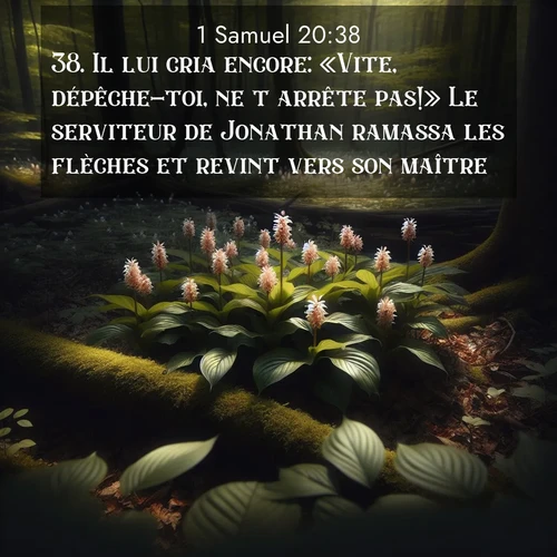 Segond21 1 Samuel  ; image nature: image avec le verset biblique :Il lui cria encore: «Vite, dépêche-toi, ne t&#039;arrête pas!» Le serviteur de Jonathan ramassa les flèches et revint vers son maître. ;  ; 20:38