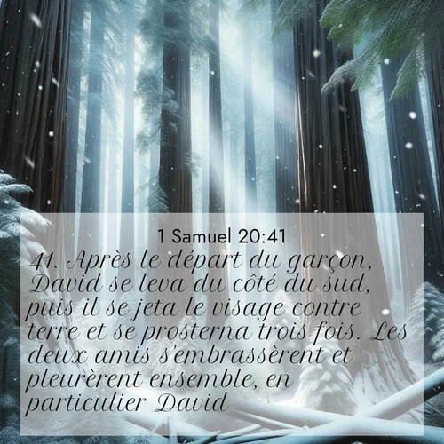 Segond21 1 Samuel  ; image nature: image avec le verset biblique :Après le départ du garçon, David se leva du côté du sud, puis il se jeta le visage contre terre et se prosterna trois fois. Les deux amis s&#039;embrassèrent et pleurèrent ensemble, en particulier David. ;  ; 20:41