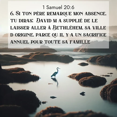 Segond21 1 Samuel  ; image nature: image avec le verset biblique :Si ton père remarque mon absence, tu diras: &#039;David m&#039;a supplié de le laisser aller à Bethléhem, sa ville d&#039;origine, parce qu&#039;il y a un sacrifice annuel pour toute sa famille.&#039; ;  ; 20:6