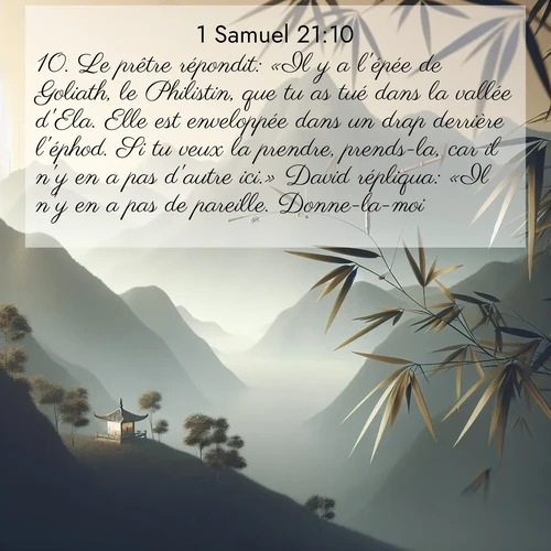 Segond21 1 Samuel  ; image nature: image avec le verset biblique :Le prêtre répondit: «Il y a l&#039;épée de Goliath, le Philistin, que tu as tué dans la vallée d&#039;Ela. Elle est enveloppée dans un drap derrière l&#039;éphod. Si tu veux la prendre, prends-la, car il n&#039;y en a pas d&#039;autre ici.» David répliqua: «Il n&#039;y en a pas de pareille. Donne-la-moi.» ;  ; 21:10