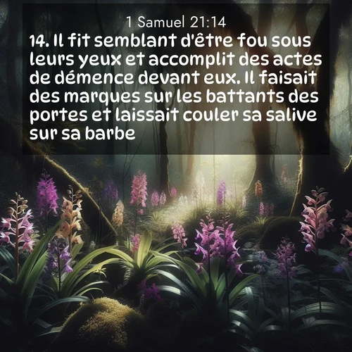 Segond21 1 Samuel  ; image nature: image avec le verset biblique :Il fit semblant d&#039;être fou sous leurs yeux et accomplit des actes de démence devant eux. Il faisait des marques sur les battants des portes et laissait couler sa salive sur sa barbe. ;  ; 21:14