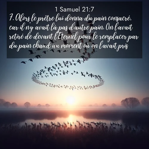 Segond21 1 Samuel  ; image nature: image avec le verset biblique :Alors le prêtre lui donna du pain consacré, car il n&#039;y avait là pas d&#039;autre pain. On l&#039;avait retiré de devant l&#039;Eternel pour le remplacer par du pain chaud au moment où on l&#039;avait pris. ;  ; 21:7