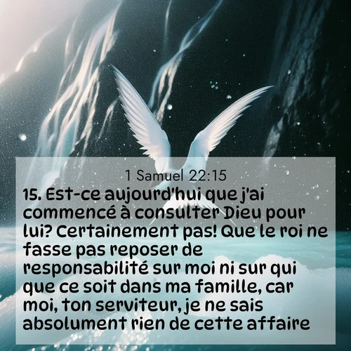 Segond21 1 Samuel  ; image nature: image avec le verset biblique :Est-ce aujourd&#039;hui que j&#039;ai commencé à consulter Dieu pour lui? Certainement pas! Que le roi ne fasse pas reposer de responsabilité sur moi ni sur qui que ce soit dans ma famille, car moi, ton serviteur, je ne sais absolument rien de cette affaire.» ;  ; 22:15