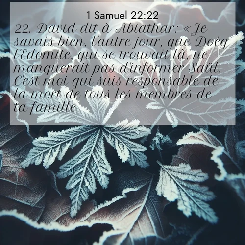 Segond21 1 Samuel  ; image nature: image avec le verset biblique :David dit à Abiathar: «Je savais bien, l&#039;autre jour, que Doëg l&#039;Edomite, qui se trouvait là, ne manquerait pas d&#039;informer Saül. C&#039;est moi qui suis responsable de la mort de tous les membres de ta famille. ;  ; 22:22