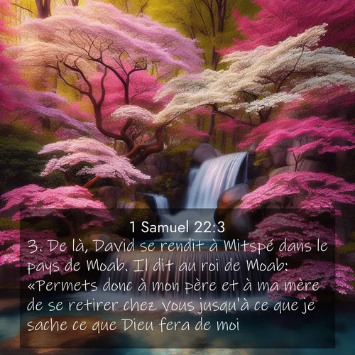 Segond21 1 Samuel  ; image nature: image avec le verset biblique :De là, David se rendit à Mitspé dans le pays de Moab. Il dit au roi de Moab: «Permets donc à mon père et à ma mère de se retirer chez vous jusqu&#039;à ce que je sache ce que Dieu fera de moi.» ;  ; 22:3