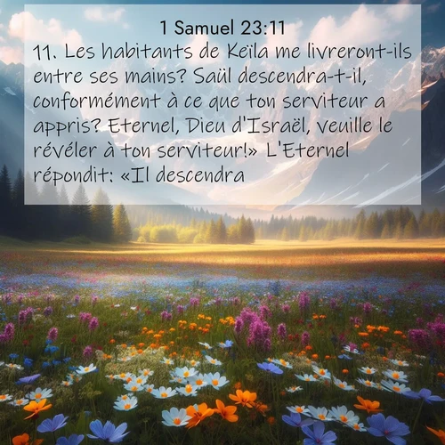 Segond21 1 Samuel  ; image nature: image avec le verset biblique :Les habitants de Keïla me livreront-ils entre ses mains? Saül descendra-t-il, conformément à ce que ton serviteur a appris? Eternel, Dieu d&#039;Israël, veuille le révéler à ton serviteur!» L&#039;Eternel répondit: «Il descendra.» ;  ; 23:11