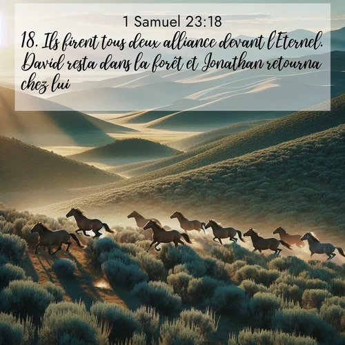 Segond21 1 Samuel  ; image nature: image avec le verset biblique :Ils firent tous deux alliance devant l&#039;Eternel. David resta dans la forêt et Jonathan retourna chez lui. ;  ; 23:18