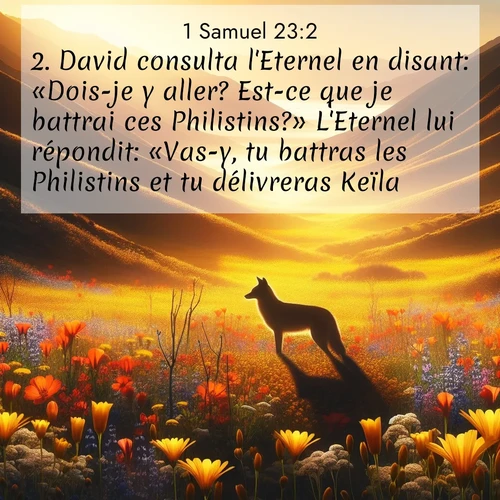 Segond21 1 Samuel  ; image nature: image avec le verset biblique :David consulta l&#039;Eternel en disant: «Dois-je y aller? Est-ce que je battrai ces Philistins?» L&#039;Eternel lui répondit: «Vas-y, tu battras les Philistins et tu délivreras Keïla.» ;  ; 23:2