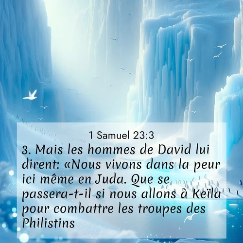 Segond21 1 Samuel  ; image nature: image avec le verset biblique :Mais les hommes de David lui dirent: «Nous vivons dans la peur ici même en Juda. Que se passera-t-il si nous allons à Keïla pour combattre les troupes des Philistins?» ;  ; 23:3