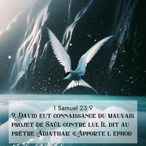 Segond21 1 Samuel  ; image nature: image avec le verset biblique :David eut connaissance du mauvais projet de Saül contre lui. Il dit au prêtre Abiathar: «Apporte l&#039;éphod!» ;  ; 23:9