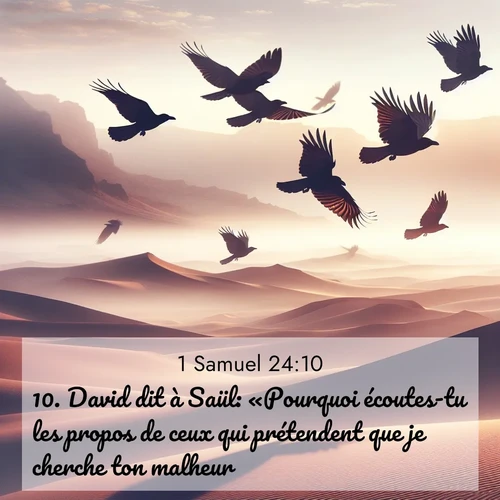 Segond21 1 Samuel  ; image nature: image avec le verset biblique :David dit à Saül: «Pourquoi écoutes-tu les propos de ceux qui prétendent que je cherche ton malheur? ;  ; 24:10