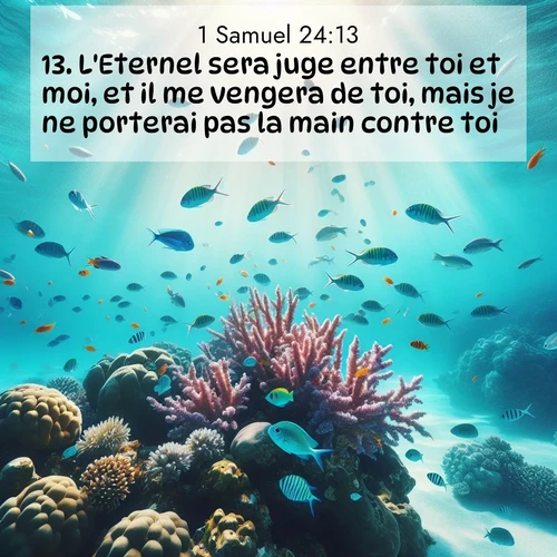 Segond21 1 Samuel  ; image nature: image avec le verset biblique :L&#039;Eternel sera juge entre toi et moi, et il me vengera de toi, mais je ne porterai pas la main contre toi. ;  ; 24:13
