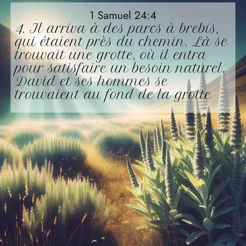Segond21 1 Samuel  ; image nature: image avec le verset biblique :Il arriva à des parcs à brebis, qui étaient près du chemin. Là se trouvait une grotte, où il entra pour satisfaire un besoin naturel. David et ses hommes se trouvaient au fond de la grotte. ;  ; 24:4