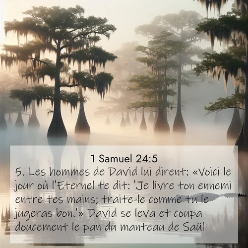 Segond21 1 Samuel  ; image nature: image avec le verset biblique :Les hommes de David lui dirent: «Voici le jour où l&#039;Eternel te dit: &#039;Je livre ton ennemi entre tes mains; traite-le comme tu le jugeras bon.&#039;» David se leva et coupa doucement le pan du manteau de Saül. ;  ; 24:5