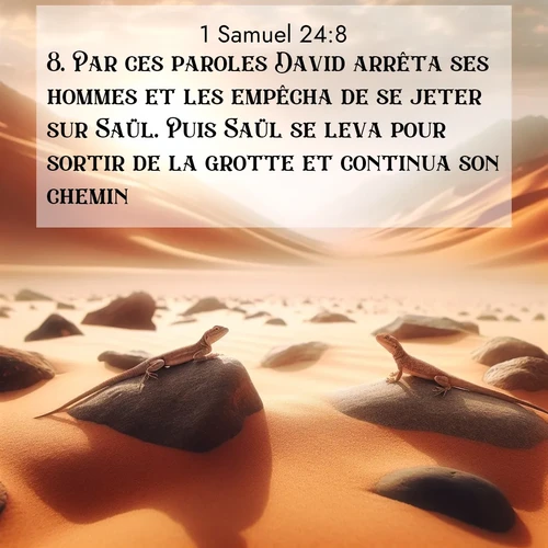 Segond21 1 Samuel  ; image nature: image avec le verset biblique :Par ces paroles David arrêta ses hommes et les empêcha de se jeter sur Saül. Puis Saül se leva pour sortir de la grotte et continua son chemin. ;  ; 24:8