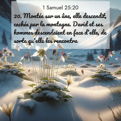 Segond21 1 Samuel  ; image nature: image avec le verset biblique :Montée sur un âne, elle descendit, cachée par la montagne. David et ses hommes descendaient en face d&#039;elle, de sorte qu&#039;elle les rencontra. ;  ; 25:20