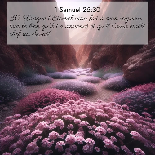 Segond21 1 Samuel  ; image nature: image avec le verset biblique :Lorsque l&#039;Eternel aura fait à mon seigneur tout le bien qu&#039;il t&#039;a annoncé et qu&#039;il t&#039;aura établi chef sur Israël, ;  ; 25:30