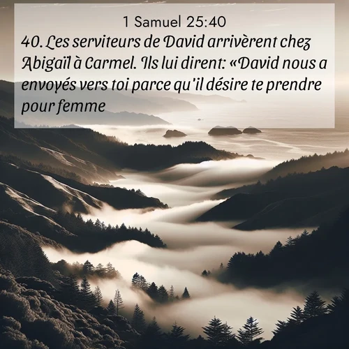 Segond21 1 Samuel  ; image nature: image avec le verset biblique :Les serviteurs de David arrivèrent chez Abigaïl à Carmel. Ils lui dirent: «David nous a envoyés vers toi parce qu&#039;il désire te prendre pour femme.» ;  ; 25:40