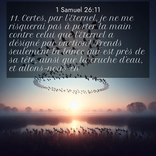 Segond21 1 Samuel  ; image nature: image avec le verset biblique :Certes, par l&#039;Eternel, je ne me risquerai pas à porter la main contre celui que l&#039;Eternel a désigné par onction! Prends seulement la lance qui est près de sa tête, ainsi que la cruche d&#039;eau, et allons-nous-en.» ;  ; 26:11