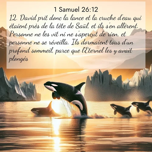 Segond21 1 Samuel  ; image nature: image avec le verset biblique :David prit donc la lance et la cruche d&#039;eau qui étaient près de la tête de Saül, et ils s&#039;en allèrent. Personne ne les vit ni ne s&#039;aperçut de rien, et personne ne se réveilla. Ils dormaient tous d&#039;un profond sommeil, parce que l&#039;Eternel les y avait plongés. ;  ; 26:12